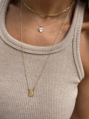 Our Lady of Carmel Scapular.