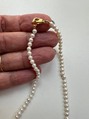 Shell pearl necklace
